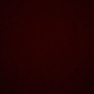 Meet your Posher, Audrey